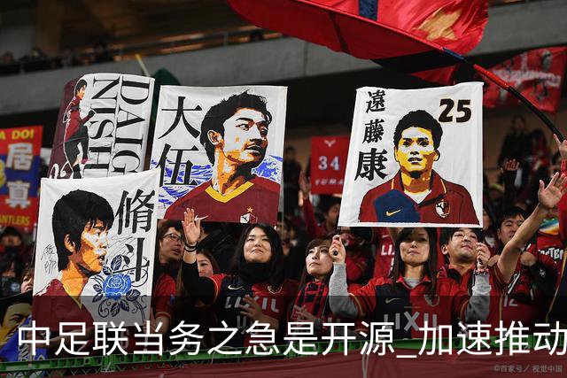 中足联当务之急是开源 加速推动中国足球职业化